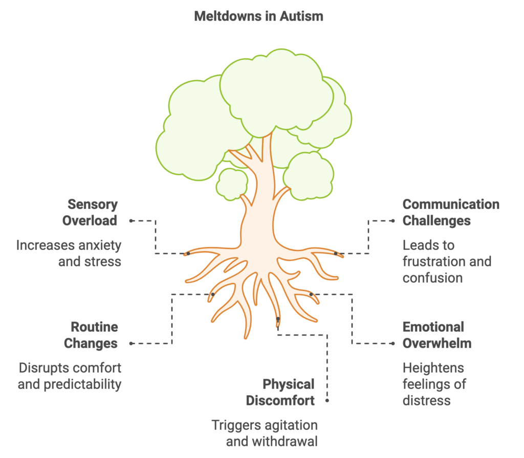 Understanding Meltdowns in Autism Blog post from Best Autism Therapy center in Bangalore