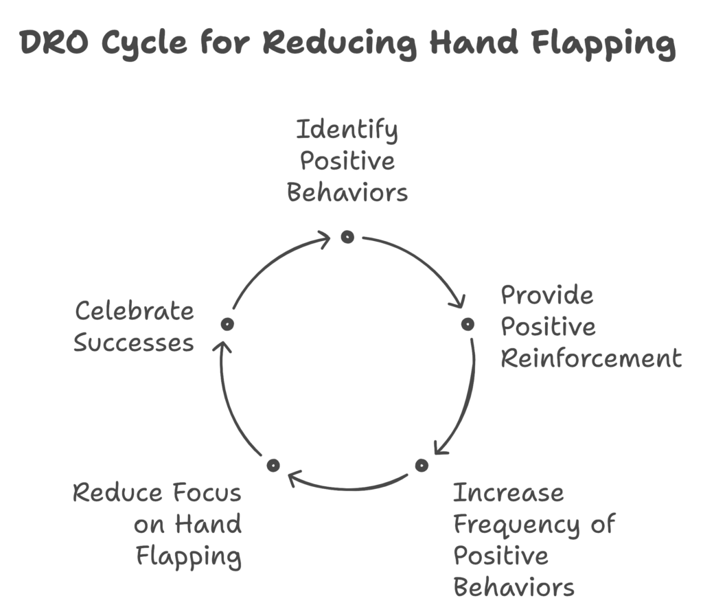 DRO Cycle for Hand Flapping Diagram