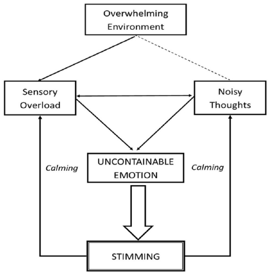 Stimming as a self-regulatory mechanism Diagram